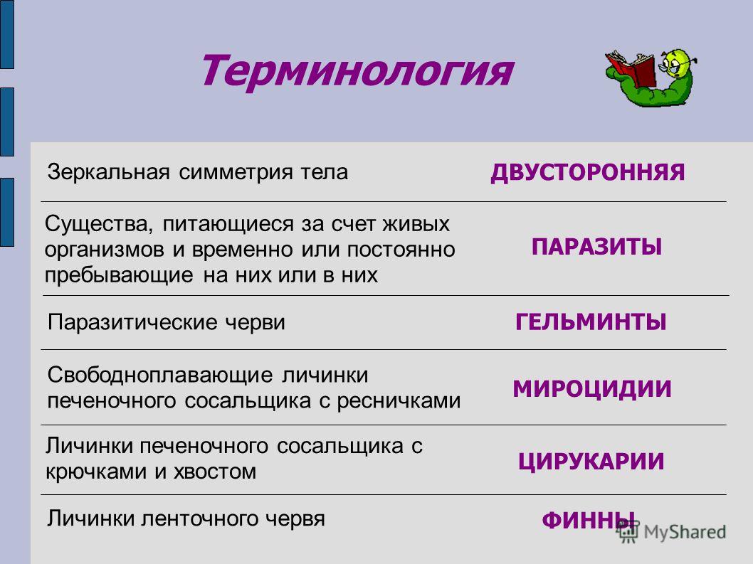 Как восстановить доступ к аккаунту кракен